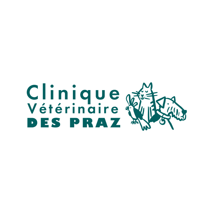 Client 7